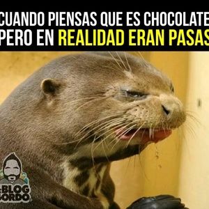 Meet your Posher, Eldaa